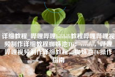 详细教程_哔哩哔哩bilibili教程哔哩哔哩视频制作详细教程蜘蛛池TG：zzcseo，哔哩哔哩视频制作详细教程，蜘蛛池TG操作指南