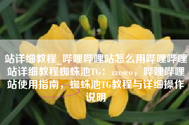 站详细教程_哔哩哔哩站怎么用哔哩哔哩站详细教程蜘蛛池TG：zzcseo，哔哩哔哩站使用指南，蜘蛛池TG教程与详细操作说明