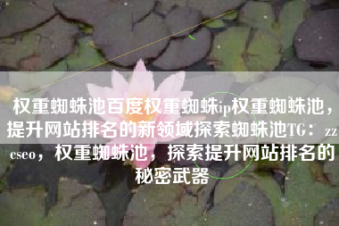 权重蜘蛛池百度权重蜘蛛ip权重蜘蛛池，提升网站排名的新领域探索蜘蛛池TG：zzcseo，权重蜘蛛池，探索提升网站排名的秘密武器