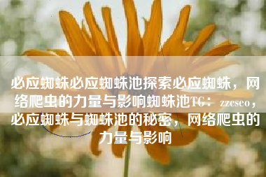 必应蜘蛛必应蜘蛛池探索必应蜘蛛，网络爬虫的力量与影响蜘蛛池TG：zzcseo，必应蜘蛛与蜘蛛池的秘密，网络爬虫的力量与影响