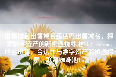 出售域名出售域名违法吗出售域名，探索数字资产的新机遇蜘蛛池TG：zzcseo，域名出售，合法性与数字资产新机遇探索，联系蜘蛛池TG