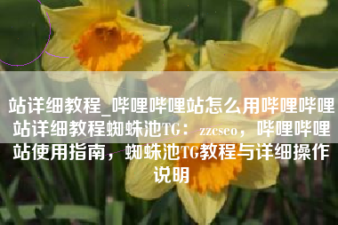 站详细教程_哔哩哔哩站怎么用哔哩哔哩站详细教程蜘蛛池TG：zzcseo，哔哩哔哩站使用指南，蜘蛛池TG教程与详细操作说明