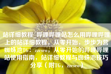 站详细教程_哔哩哔哩站怎么用哔哩哔哩上的站详细教程，从零开始，步步为营蜘蛛池TG：zzcseo，从零开始的哔哩哔哩站使用指南，站详细教程与蜘蛛池技巧分享（附TG，zzcseo）