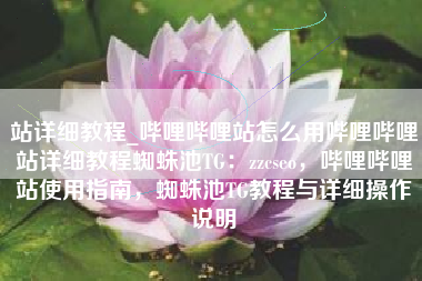 站详细教程_哔哩哔哩站怎么用哔哩哔哩站详细教程蜘蛛池TG：zzcseo，哔哩哔哩站使用指南，蜘蛛池TG教程与详细操作说明