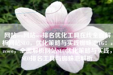 网站seo网站seo排名优化工具在线全面解析网站SEO，优化策略与实践蜘蛛池TG：zzcseo，全面解析网站SEO优化策略与实践，SEO排名工具与蜘蛛池解析