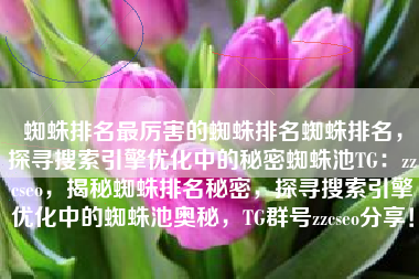 蜘蛛排名最厉害的蜘蛛排名蜘蛛排名，探寻搜索引擎优化中的秘密蜘蛛池TG：zzcseo，揭秘蜘蛛排名秘密，探寻搜索引擎优化中的蜘蛛池奥秘，TG群号zzcseo分享！