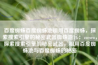 百度蜘蛛百度蜘蛛池租用百度蜘蛛，探索搜索引擎的秘密武器蜘蛛池TG：zzcseo，探索搜索引擎的秘密武器，租用百度蜘蛛池与百度蜘蛛的秘密