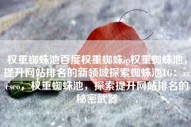 权重蜘蛛池百度权重蜘蛛ip权重蜘蛛池，提升网站排名的新领域探索蜘蛛池TG：zzcseo，权重蜘蛛池，探索提升网站排名的秘密武器