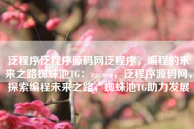 泛程序泛程序源码网泛程序，编程的未来之路蜘蛛池TG：zzcseo，泛程序源码网，探索编程未来之路，蜘蛛池TG助力发展