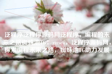 泛程序泛程序源码网泛程序，编程的未来之路蜘蛛池TG：zzcseo，泛程序源码网，探索编程未来之路，蜘蛛池TG助力发展