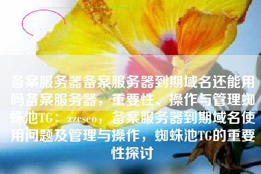 备案服务器备案服务器到期域名还能用吗备案服务器，重要性、操作与管理蜘蛛池TG：zzcseo，备案服务器到期域名使用问题及管理与操作，蜘蛛池TG的重要性探讨