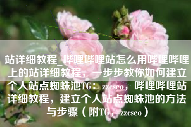 站详细教程_哔哩哔哩站怎么用哔哩哔哩上的站详细教程，一步步教你如何建立个人站点蜘蛛池TG：zzcseo，哔哩哔哩站详细教程，建立个人站点蜘蛛池的方法与步骤（附TG，zzcseo）