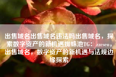 出售域名出售域名违法吗出售域名，探索数字资产的新机遇蜘蛛池TG：zzcseo，出售域名，数字资产的新机遇与法规边缘探索