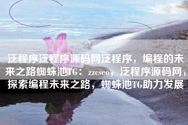泛程序泛程序源码网泛程序，编程的未来之路蜘蛛池TG：zzcseo，泛程序源码网，探索编程未来之路，蜘蛛池TG助力发展