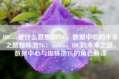 IDCidc是什么意思啊IDC，数据中心的未来之路蜘蛛池TG：zzcseo，IDC的未来之路，数据中心与蜘蛛池TG的角色解读