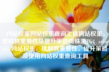 网站权重网站权重查询工具网站权重，理解其重要性及提升策略蜘蛛池TG：zzcseo，网站权重，理解其重要性、提升策略及使用网站权重查询工具