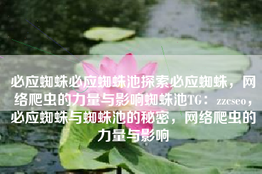 必应蜘蛛必应蜘蛛池探索必应蜘蛛，网络爬虫的力量与影响蜘蛛池TG：zzcseo，必应蜘蛛与蜘蛛池的秘密，网络爬虫的力量与影响