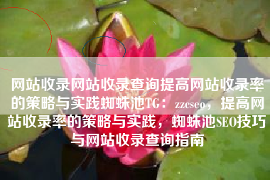 网站收录网站收录查询提高网站收录率的策略与实践蜘蛛池TG：zzcseo，提高网站收录率的策略与实践，蜘蛛池SEO技巧与网站收录查询指南