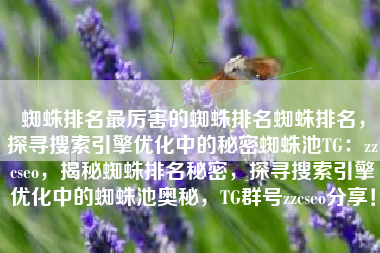 蜘蛛排名最厉害的蜘蛛排名蜘蛛排名，探寻搜索引擎优化中的秘密蜘蛛池TG：zzcseo，揭秘蜘蛛排名秘密，探寻搜索引擎优化中的蜘蛛池奥秘，TG群号zzcseo分享！