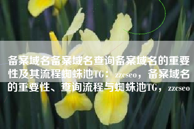 备案域名备案域名查询备案域名的重要性及其流程蜘蛛池TG：zzcseo，备案域名的重要性、查询流程与蜘蛛池TG，zzcseo