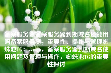 备案服务器备案服务器到期域名还能用吗备案服务器，重要性、操作与管理蜘蛛池TG：zzcseo，备案服务器到期域名使用问题及管理与操作，蜘蛛池TG的重要性探讨