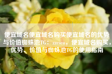 便宜域名便宜域名购买便宜域名的优势与价值蜘蛛池TG：zzcseo，便宜域名购买，优势、价值与蜘蛛池TG的使用指南