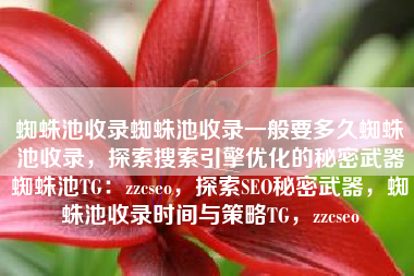 蜘蛛池收录蜘蛛池收录一般要多久蜘蛛池收录，探索搜索引擎优化的秘密武器蜘蛛池TG：zzcseo，探索SEO秘密武器，蜘蛛池收录时间与策略TG，zzcseo