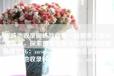 蜘蛛池收录蜘蛛池收录一般要多久蜘蛛池收录，探索搜索引擎优化的秘密武器蜘蛛池TG：zzcseo，探索SEO秘密武器，蜘蛛池收录时间与策略TG，zzcseo