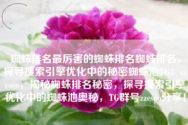 蜘蛛排名最厉害的蜘蛛排名蜘蛛排名，探寻搜索引擎优化中的秘密蜘蛛池TG：zzcseo，揭秘蜘蛛排名秘密，探寻搜索引擎优化中的蜘蛛池奥秘，TG群号zzcseo分享！