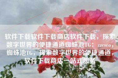 软件下载软件下载商店软件下载，探索数字世界的便捷通道蜘蛛池TG：zzcseo，蜘蛛池TG，探索数字世界的便捷通道，软件下载商店一站式服务
