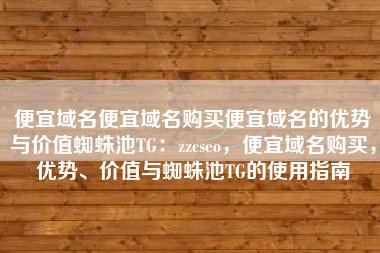 便宜域名便宜域名购买便宜域名的优势与价值蜘蛛池TG：zzcseo，便宜域名购买，优势、价值与蜘蛛池TG的使用指南