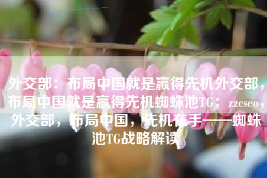 外交部：布局中国就是赢得先机外交部，布局中国就是赢得先机蜘蛛池TG：zzcseo，外交部，布局中国，先机在手——蜘蛛池TG战略解读