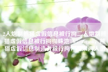 2人炮制熊猫虚假信息被行拘二人炮制熊猫虚假信息被行拘蜘蛛池TG：zzcseo，熊猫虚假信息制造者被行拘，涉案两人遭处罚