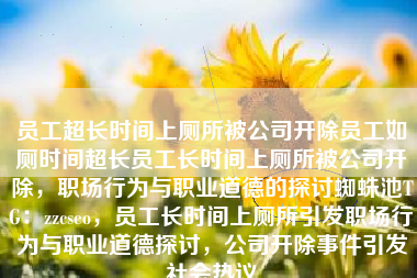 员工超长时间上厕所被公司开除员工如厕时间超长员工长时间上厕所被公司开除，职场行为与职业道德的探讨蜘蛛池TG：zzcseo，员工长时间上厕所引发职场行为与职业道德探讨，公司开除事件引发社会热议