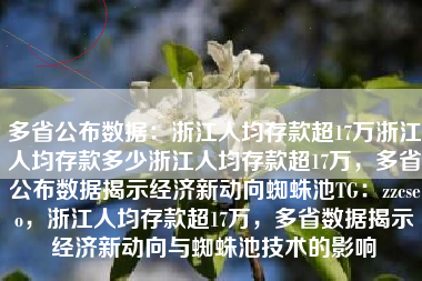 多省公布数据：浙江人均存款超17万浙江人均存款多少浙江人均存款超17万，多省公布数据揭示经济新动向蜘蛛池TG：zzcseo，浙江人均存款超17万，多省数据揭示经济新动向与蜘蛛池技术的影响