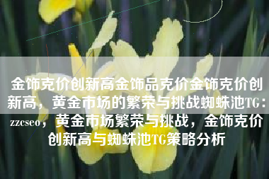 金饰克价创新高金饰品克价金饰克价创新高，黄金市场的繁荣与挑战蜘蛛池TG：zzcseo，黄金市场繁荣与挑战，金饰克价创新高与蜘蛛池TG策略分析