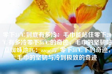 零下34℃到底有多冷：毛巾能站住零下20℃有多冷零下34℃的奇迹，毛巾的坚韧站立蜘蛛池TG：zzcseo，零下34℃下的奇迹，毛巾的坚韧与冷到极致的奇迹