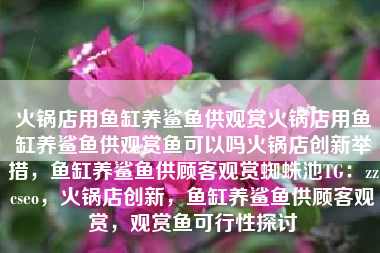火锅店用鱼缸养鲨鱼供观赏火锅店用鱼缸养鲨鱼供观赏鱼可以吗火锅店创新举措，鱼缸养鲨鱼供顾客观赏蜘蛛池TG：zzcseo，火锅店创新，鱼缸养鲨鱼供顾客观赏，观赏鱼可行性探讨