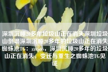 深圳沉睡20多年垃圾山正在消失深圳垃圾山倒塌深圳沉睡20多年的垃圾山正在消失蜘蛛池TG：zzcseo，深圳沉睡20多年的垃圾山正在消失，变迁与重生之蜘蛛池TG见证