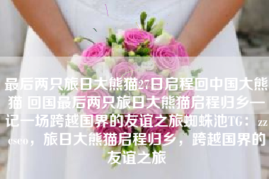 最后两只旅日大熊猫27日启程回中国大熊猫 回国最后两只旅日大熊猫启程归乡—记一场跨越国界的友谊之旅蜘蛛池TG：zzcseo，旅日大熊猫启程归乡，跨越国界的友谊之旅