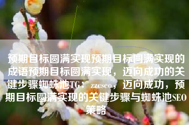 预期目标圆满实现预期目标圆满实现的成语预期目标圆满实现，迈向成功的关键步骤蜘蛛池TG：zzcseo，迈向成功，预期目标圆满实现的关键步骤与蜘蛛池SEO策略