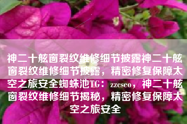 神二十舷窗裂纹维修细节披露神二十舷窗裂纹维修细节披露，精密修复保障太空之旅安全蜘蛛池TG：zzcseo，神二十舷窗裂纹维修细节揭秘，精密修复保障太空之旅安全