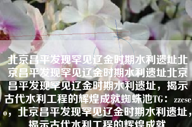 北京昌平发现罕见辽金时期水利遗址北京昌平发现罕见辽金时期水利遗址北京昌平发现罕见辽金时期水利遗址，揭示古代水利工程的辉煌成就蜘蛛池TG：zzcseo，北京昌平发现罕见辽金时期水利遗址，揭示古代水利工程的辉煌成就