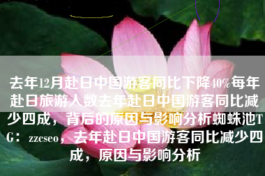 去年12月赴日中国游客同比下降40%每年赴日旅游人数去年赴日中国游客同比减少四成，背后的原因与影响分析蜘蛛池TG：zzcseo，去年赴日中国游客同比减少四成，原因与影响分析