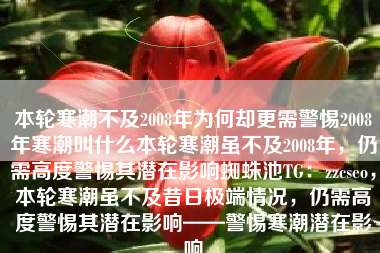 本轮寒潮不及2008年为何却更需警惕2008年寒潮叫什么本轮寒潮虽不及2008年，仍需高度警惕其潜在影响蜘蛛池TG：zzcseo，本轮寒潮虽不及昔日极端情况，仍需高度警惕其潜在影响——警惕寒潮潜在影响