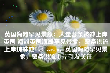 英国海滩罕见景象：大量薯条被冲上岸英国 海滩英国海滩罕见景象，薯条洪流上岸蜘蛛池TG：zzcseo，英国海滩罕见景象，薯条洪流上岸引发关注