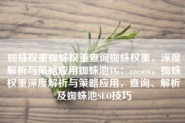 蜘蛛权重蜘蛛权重查询蜘蛛权重，深度解析与策略应用蜘蛛池TG：zzcseo，蜘蛛权重深度解析与策略应用，查询、解析及蜘蛛池SEO技巧