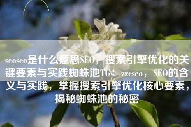 seoseo是什么意思SEO，搜索引擎优化的关键要素与实践蜘蛛池TG：zzcseo，SEO的含义与实践，掌握搜索引擎优化核心要素，揭秘蜘蛛池的秘密