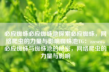 必应蜘蛛必应蜘蛛池探索必应蜘蛛，网络爬虫的力量与影响蜘蛛池TG：zzcseo，必应蜘蛛与蜘蛛池的秘密，网络爬虫的力量与影响