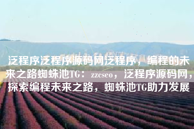 泛程序泛程序源码网泛程序，编程的未来之路蜘蛛池TG：zzcseo，泛程序源码网，探索编程未来之路，蜘蛛池TG助力发展